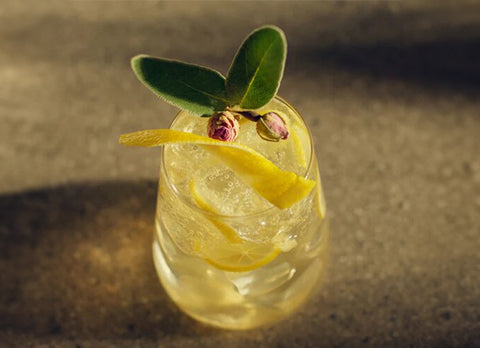 Gin Spritzer