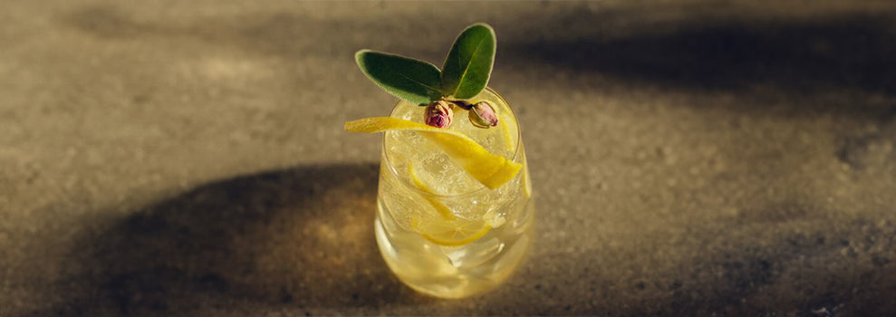 Gin Spritzer - Cocktail Drink Recipe