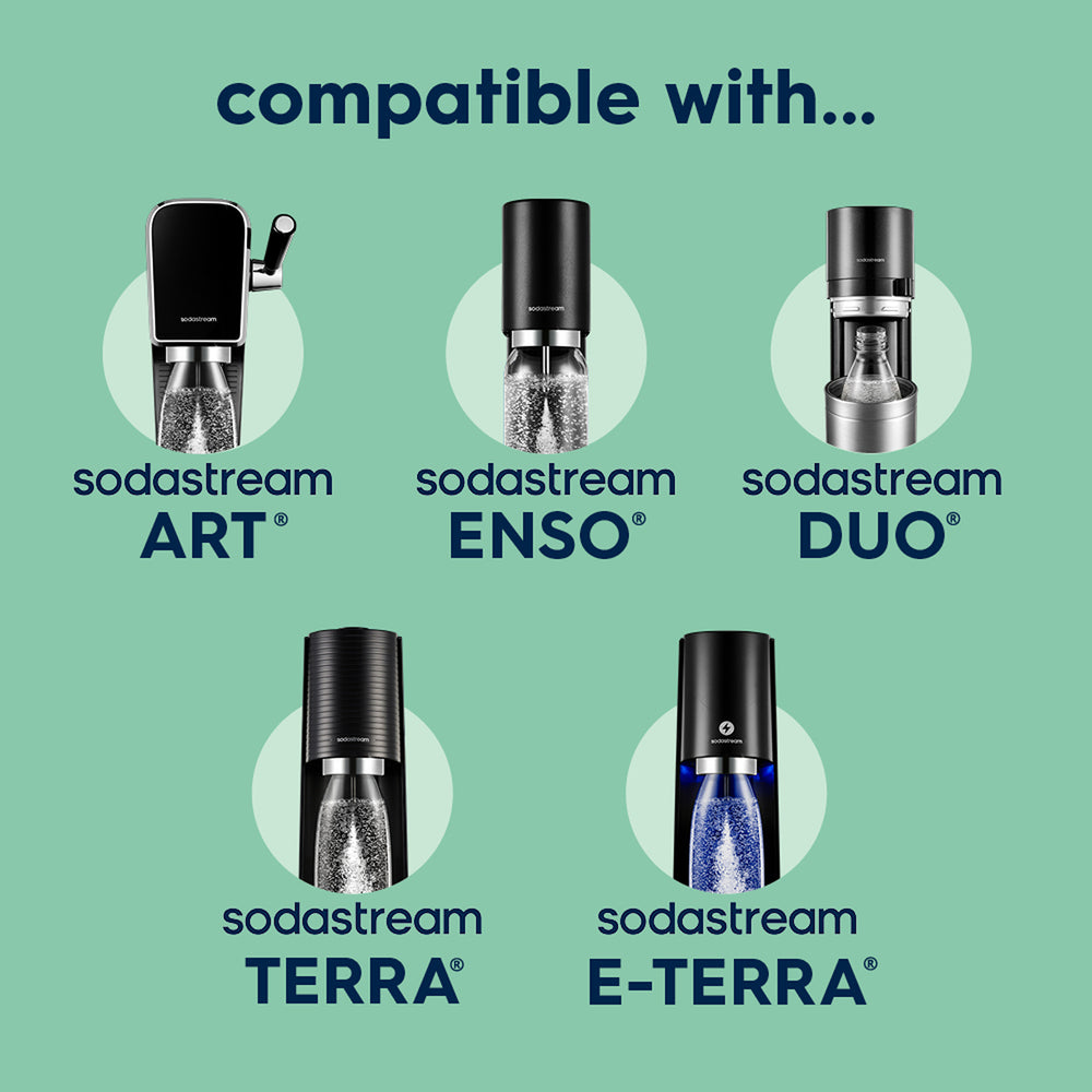 Fizz & Go® Stainless Steel Insulated Carbonating Bottle | Mint | Take Your Fizzy Favourites On-The-Go | Single Pack